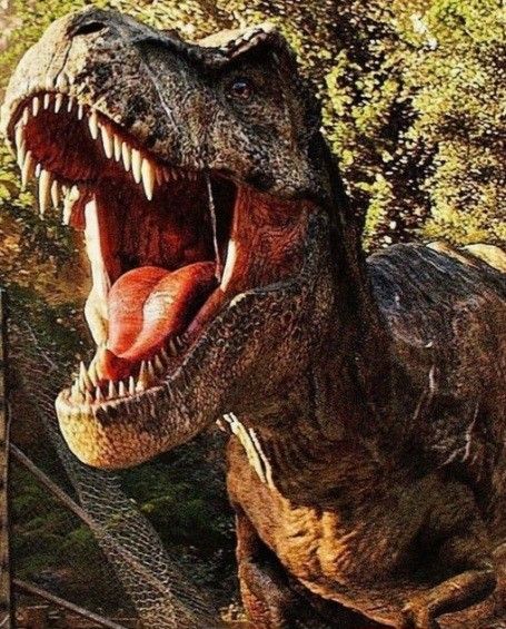 uc_stacked_images_elementor_c7aae46_item4